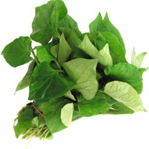 Khả năng điều trị bệnh trĩ bằng rau diếp cá