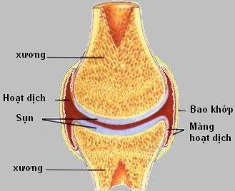 Điều trị u nang bao hoạt dịch