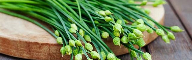 Công dụng của lá hẹ với người bệnh trĩ